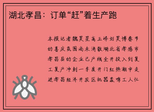 湖北孝昌：订单“赶”着生产跑